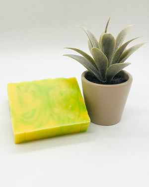 Honeydew Lemonade Soap Bar