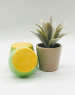Pear - Shaving Soap Bars