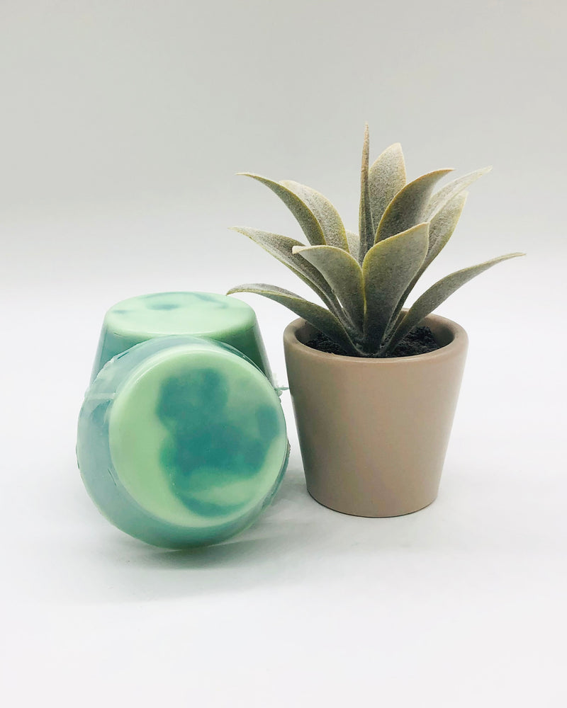 Sweet Grass - Shaving Soap Bars
