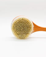 Round Back & Body Brush