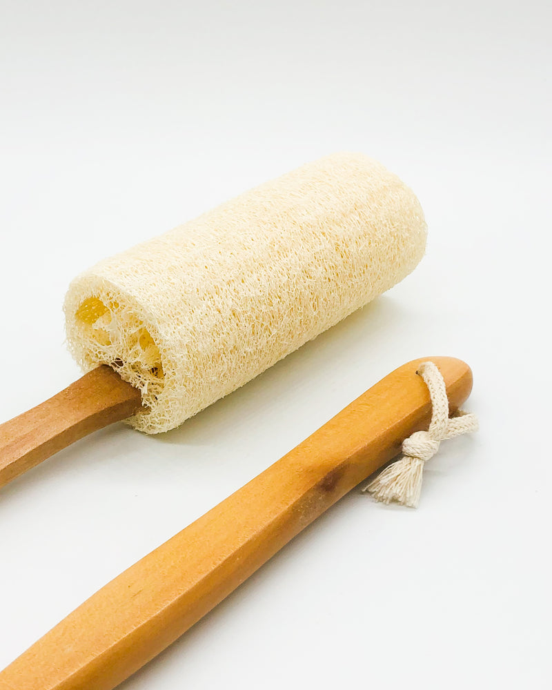 Loofah Back Brush