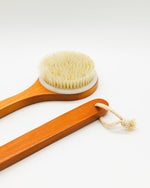 Round Back & Body Brush