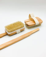 Back & Body Brush